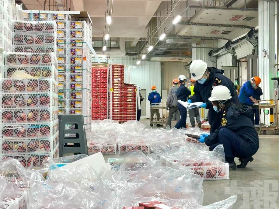 18艘快線累計進口逾9200櫃