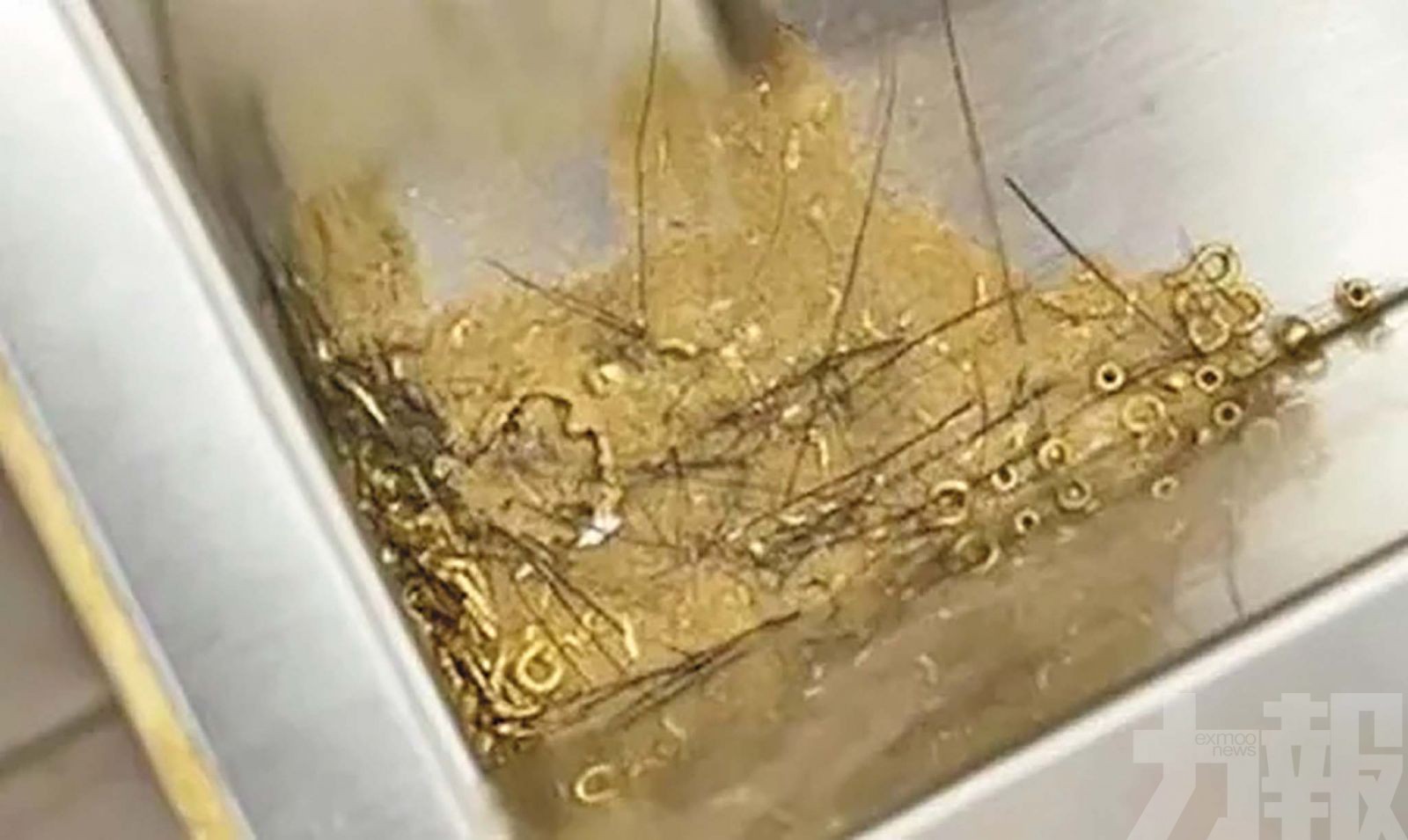 網民質疑「偷金」