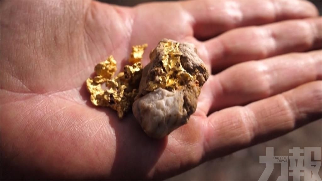 澳洲「金三角」業餘淘金客激增
