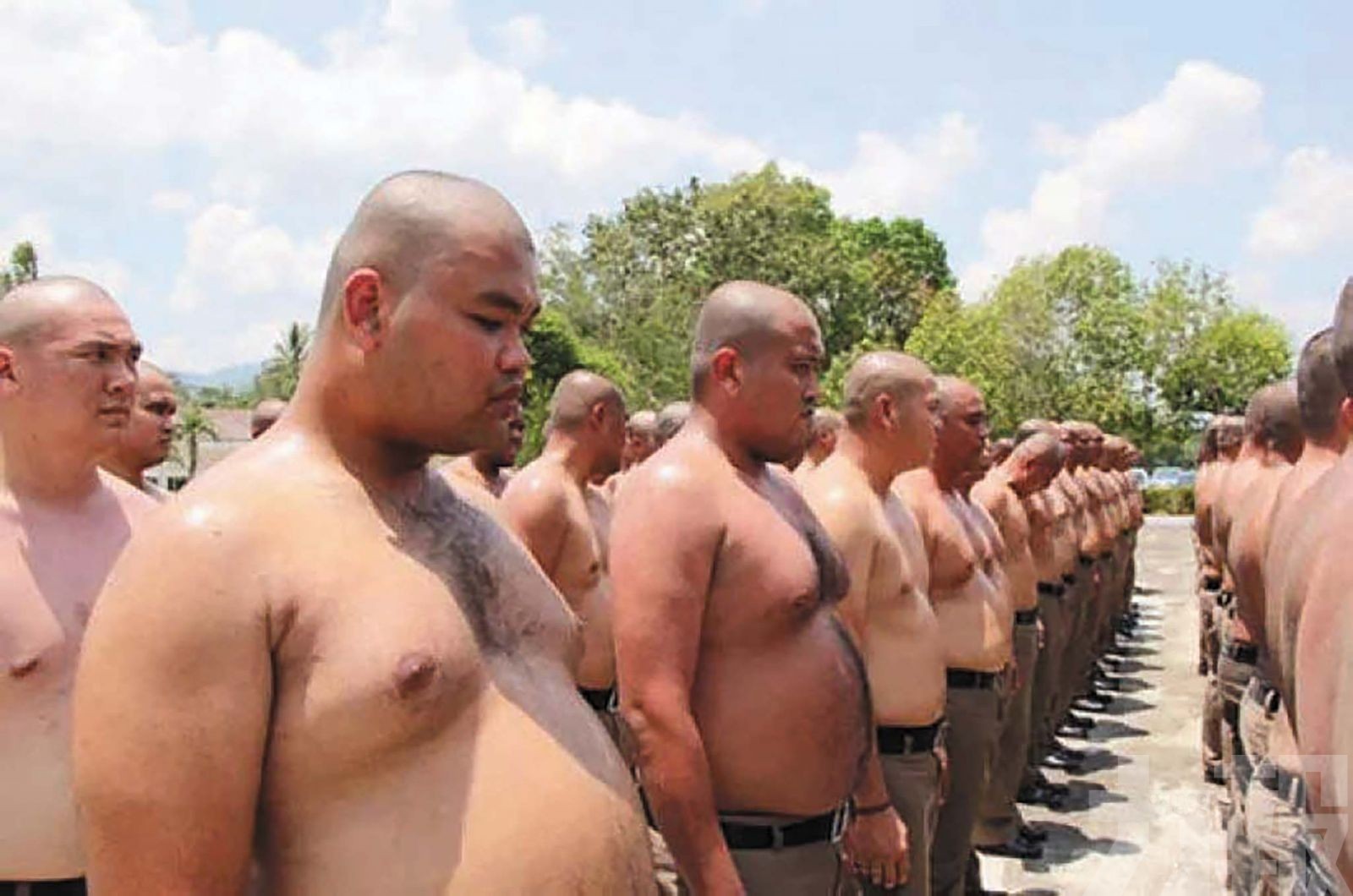 九大咖啡連鎖預設甜度減半