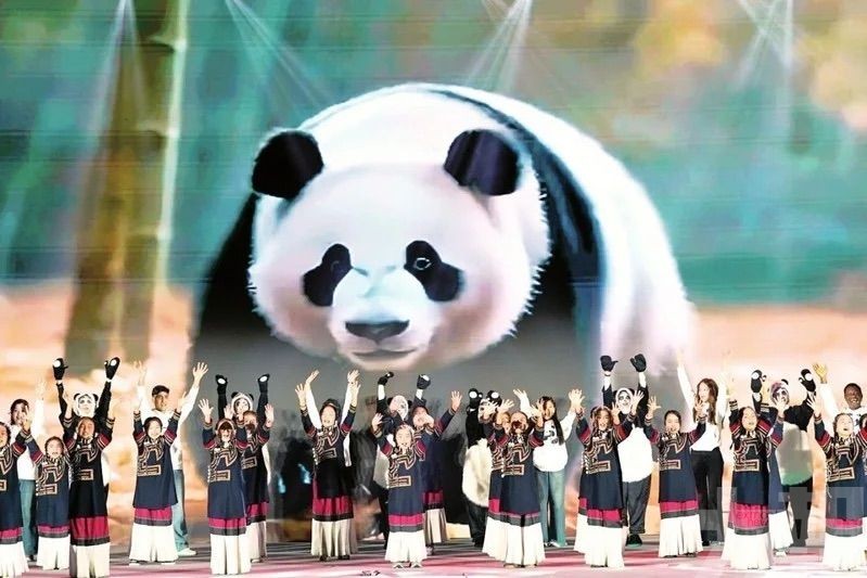 成都進出口創新高