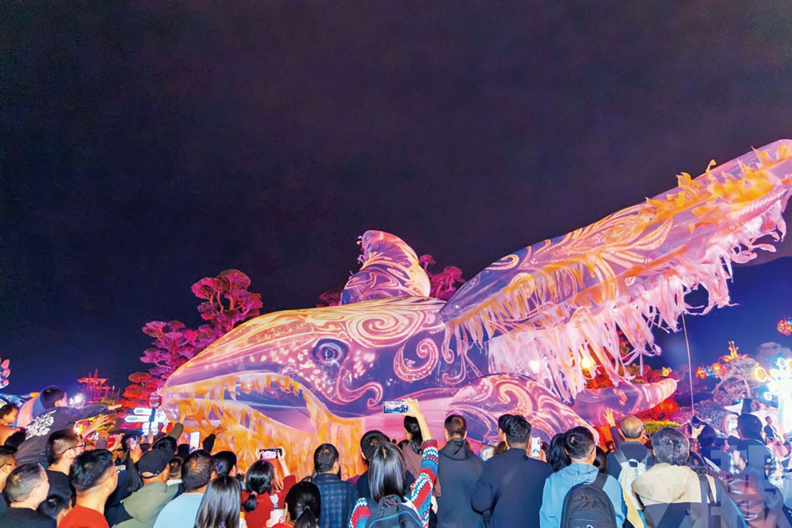 橫琴長隆打造「鯨奇」海洋年味