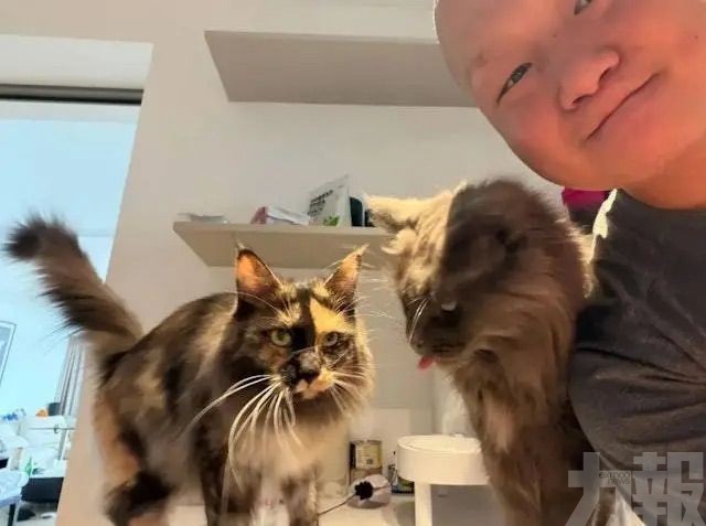 90後假期入帳16萬