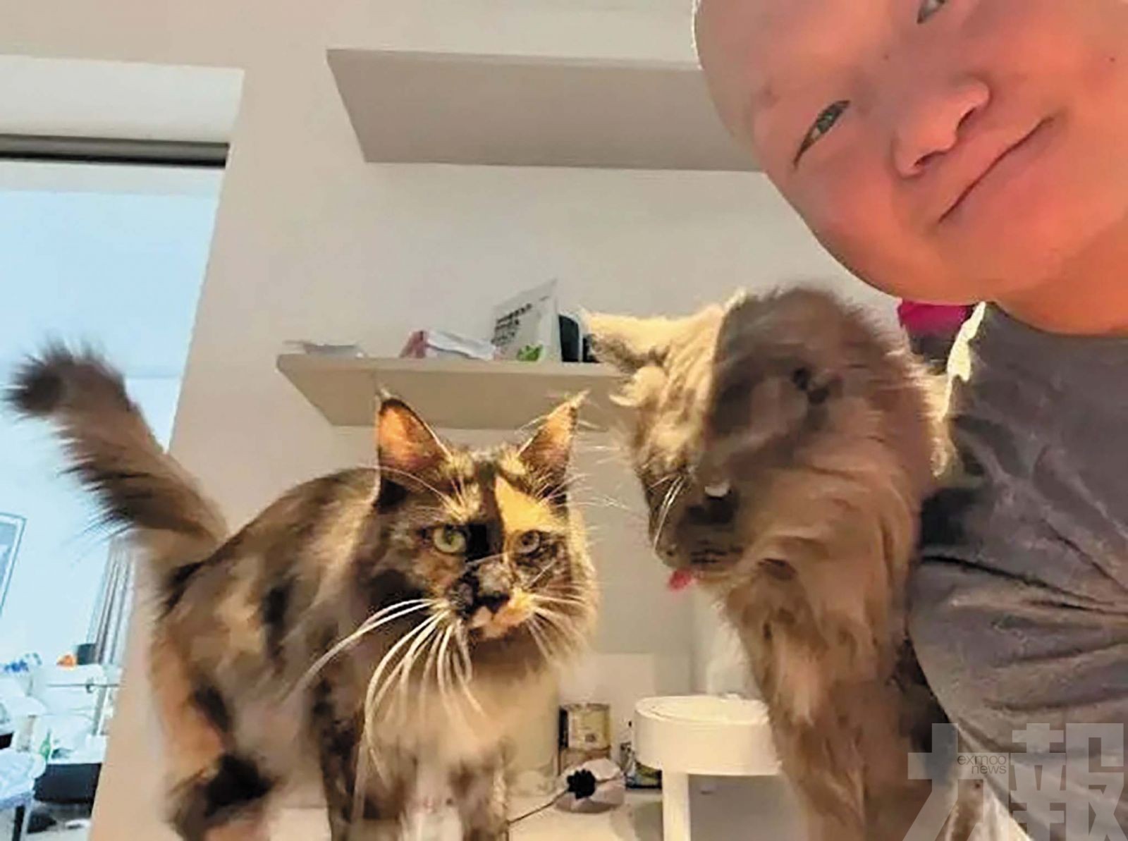 90後假期入帳16萬