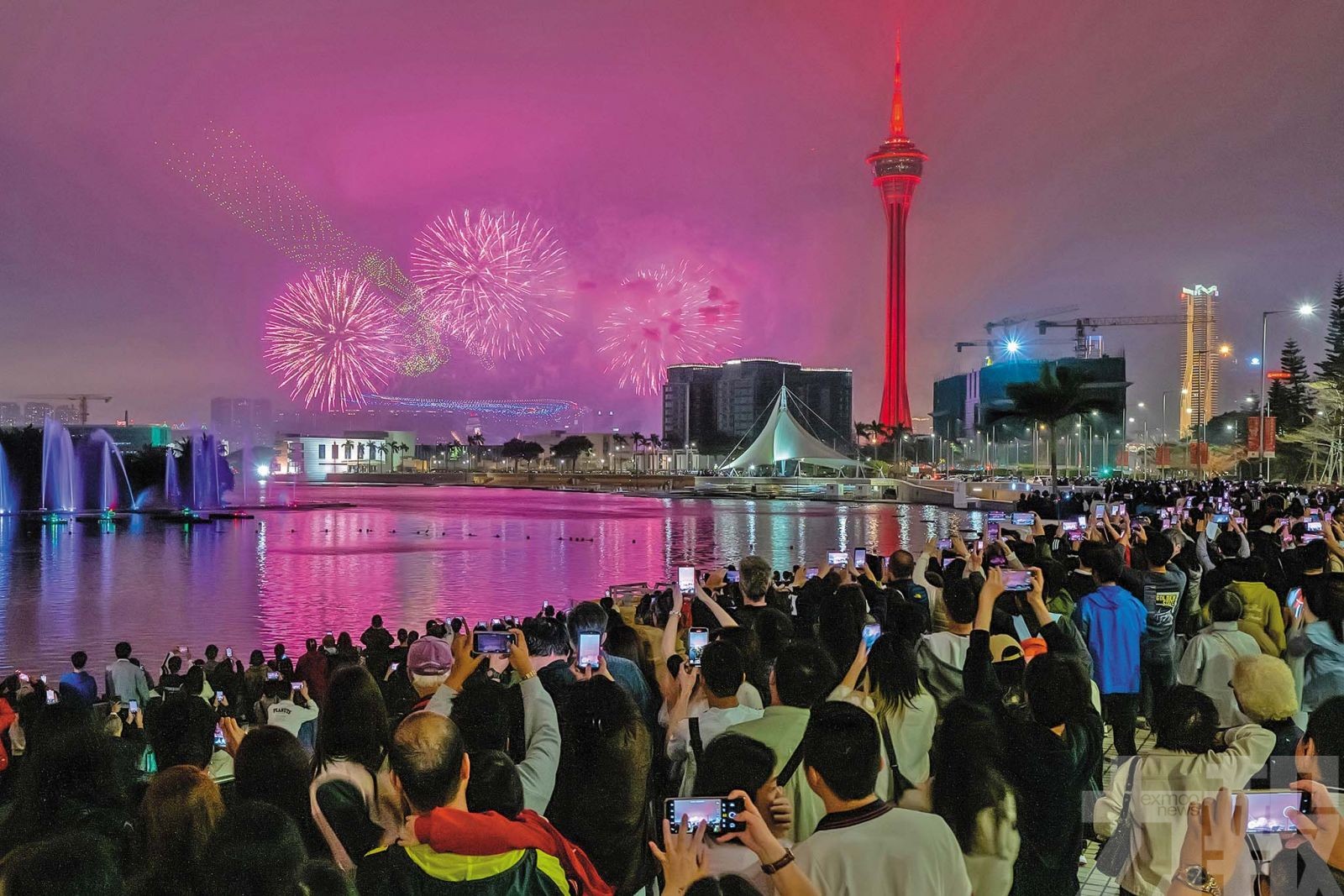 學者籲培育本土團隊促產業多元