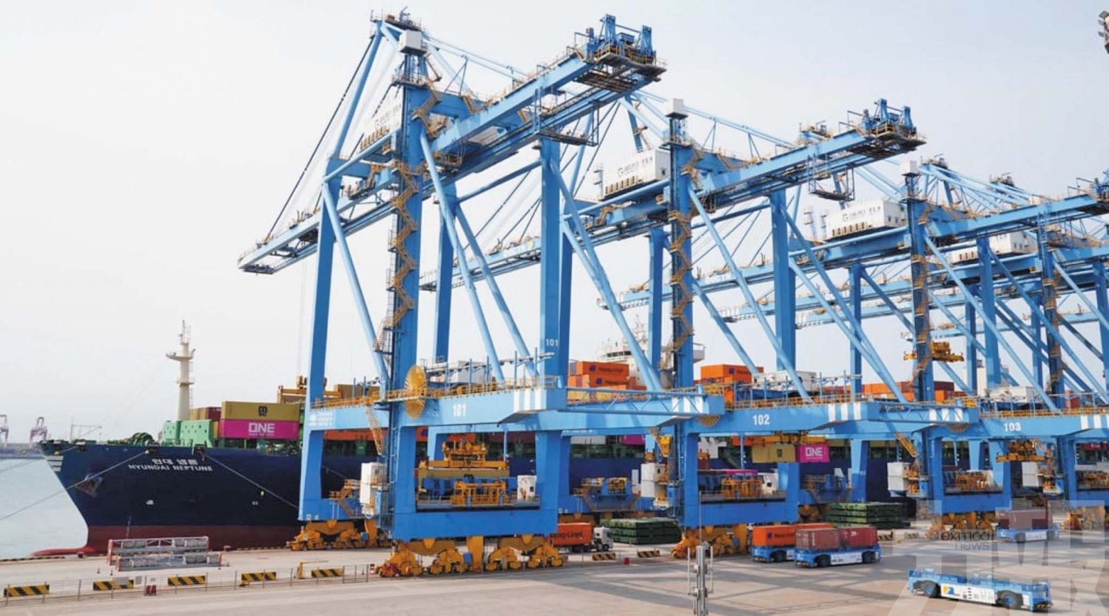 誰是贏家誰是輸家？