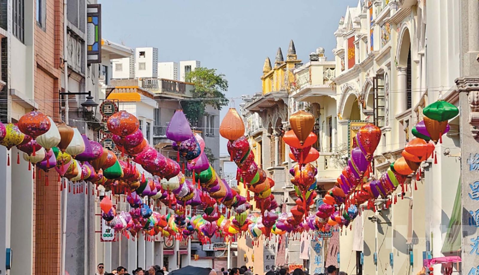 「港澳村」書寫灣區融合新故事