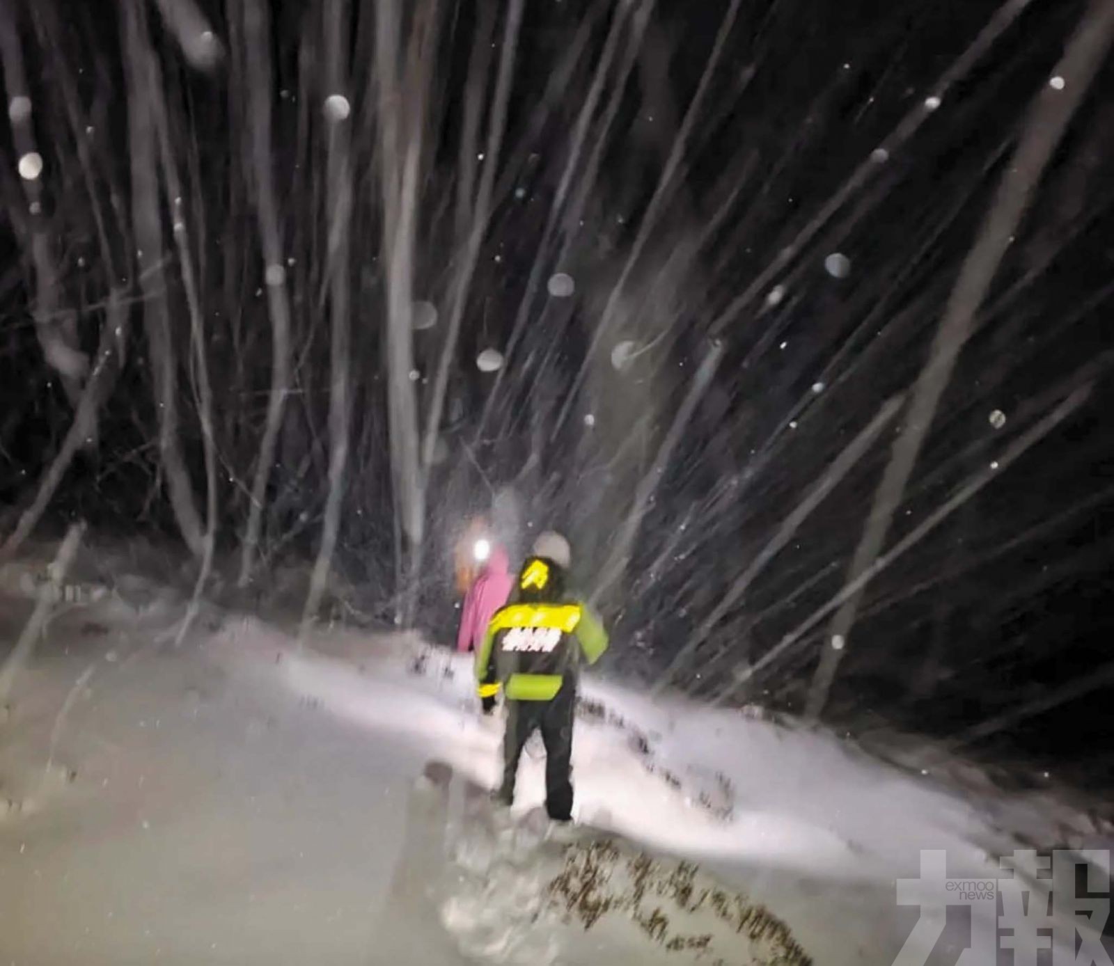 躲牛棚以牛糞禦寒奇蹟生還