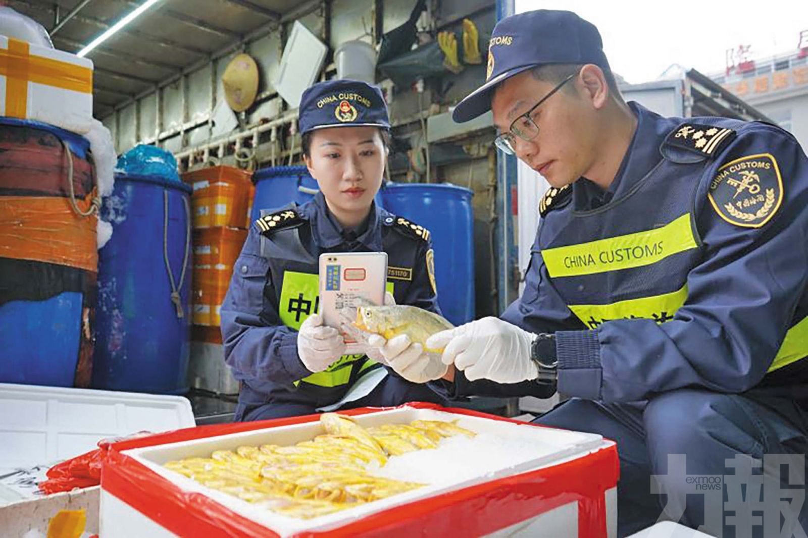 拱關保障逾2,800噸農食品順暢通關