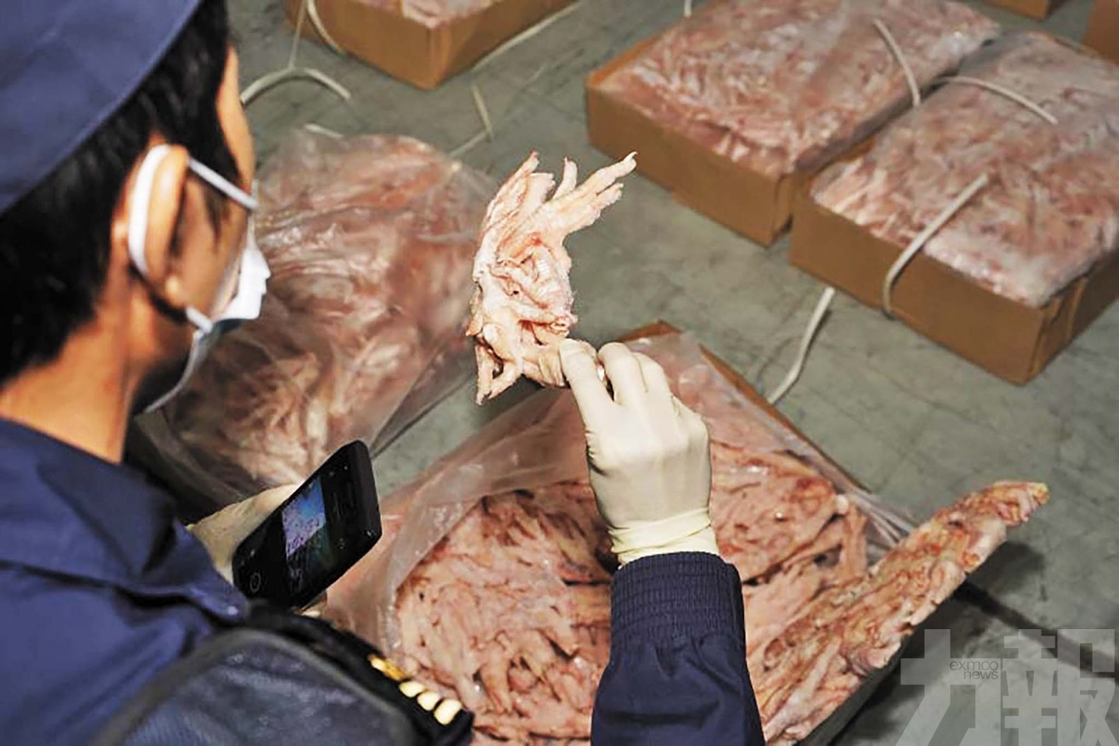 涉偽報貨物企圖蒙混過關