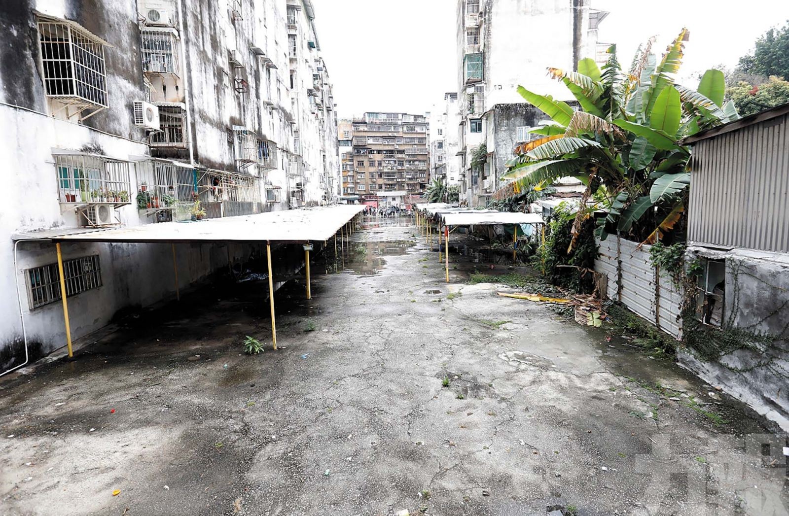 計劃用作臨時停車場