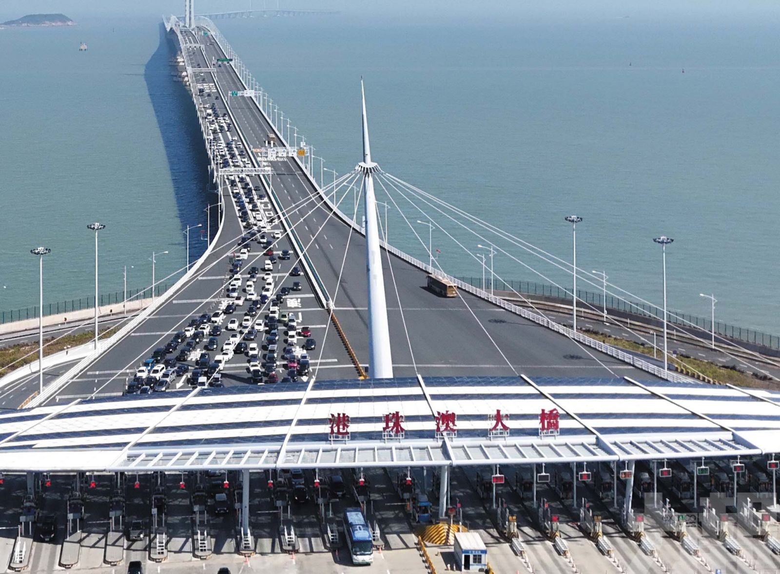 違者中止配額一至三個月