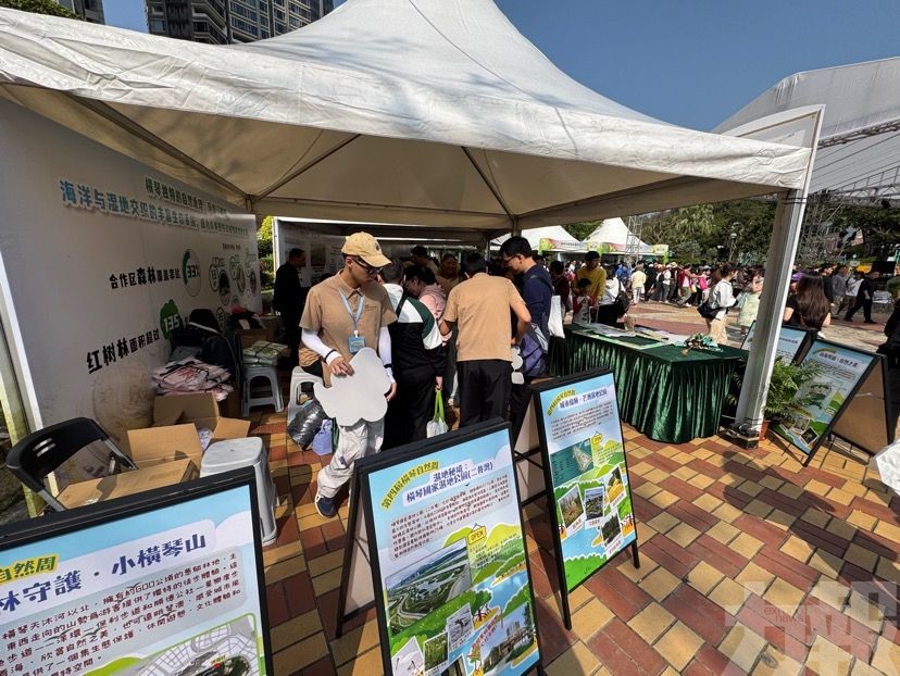 推廣紅樹林生態保護