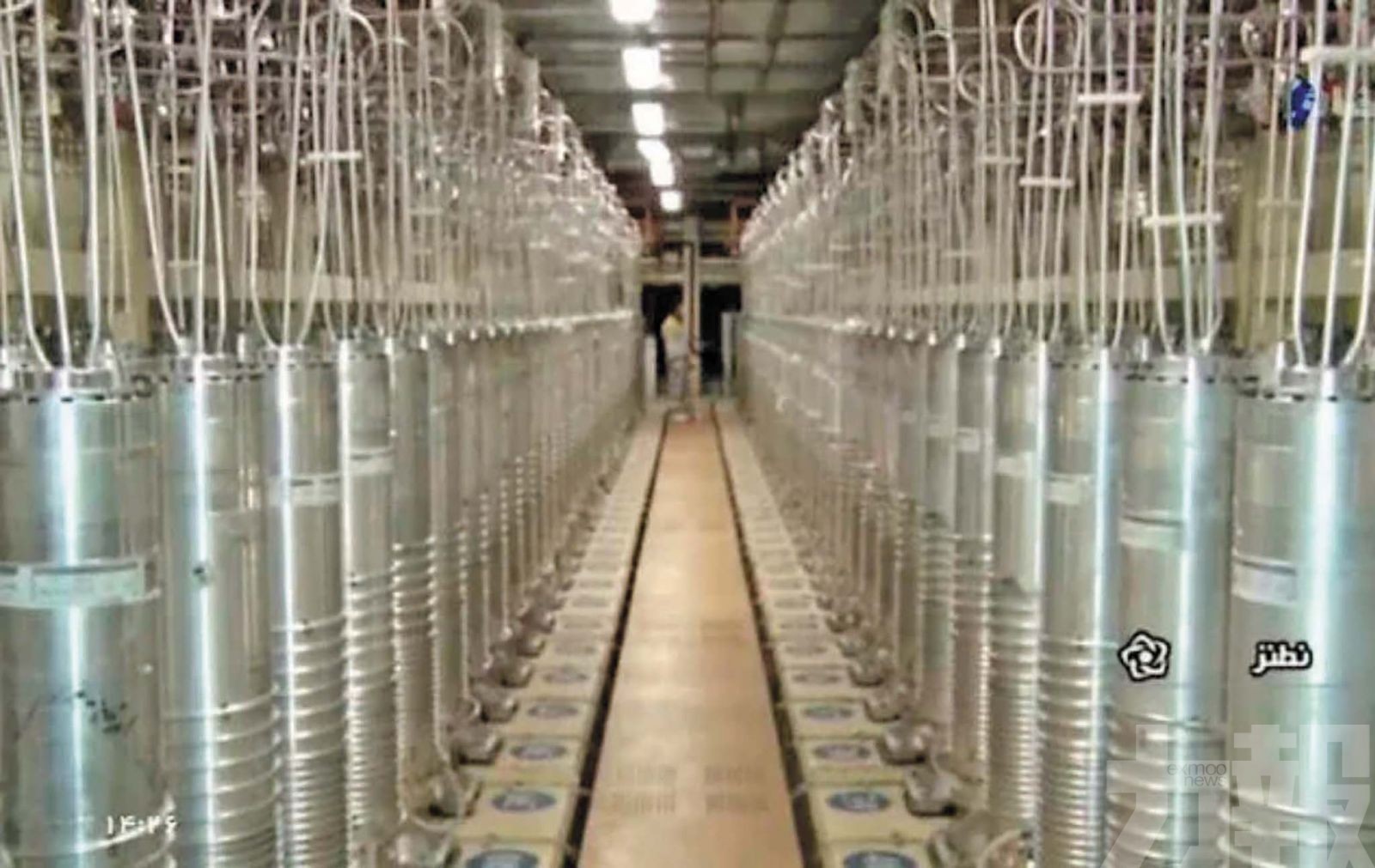 特朗普稱未排除地面行動