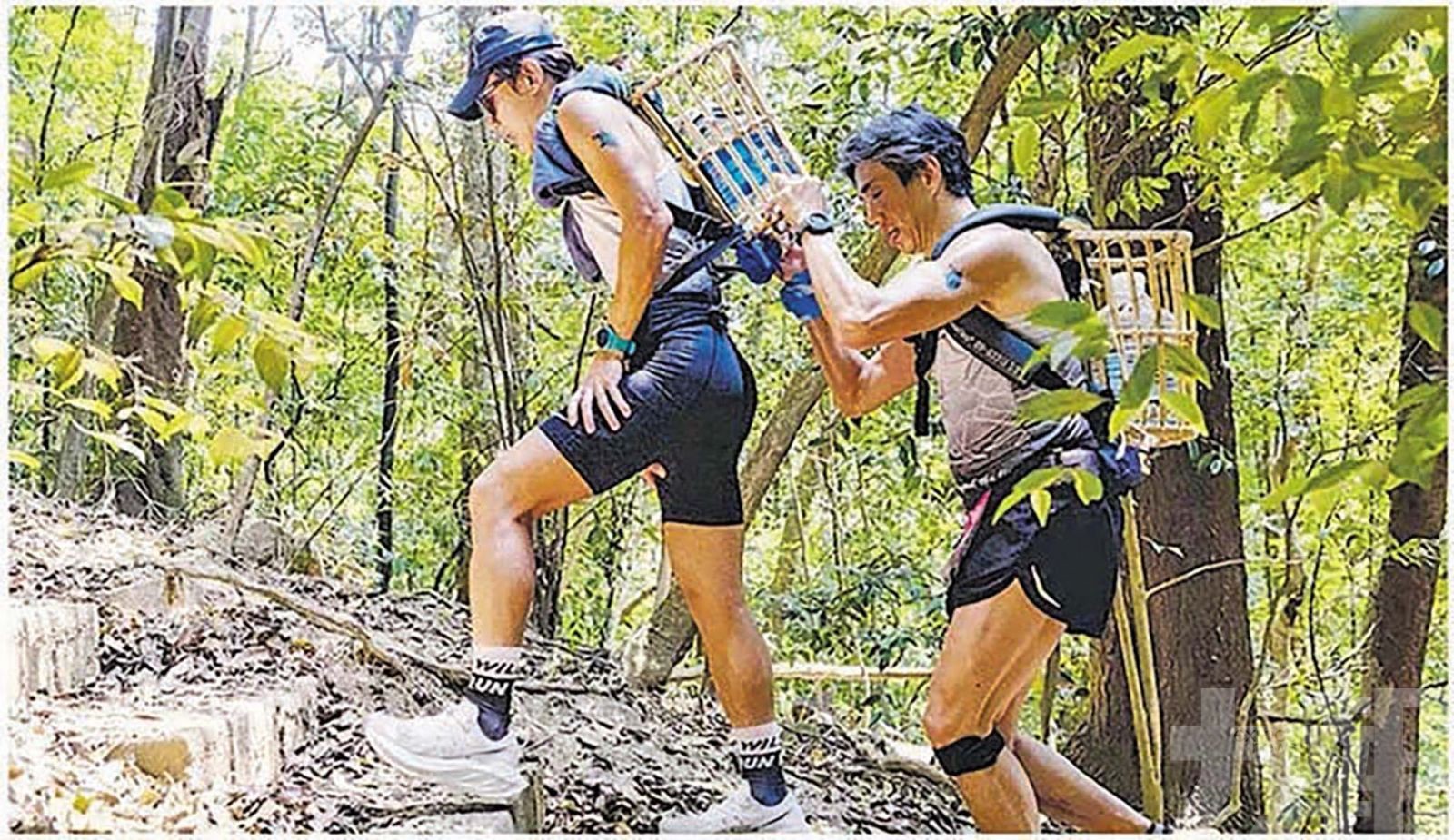 港「揹水一戰2026 」突取消