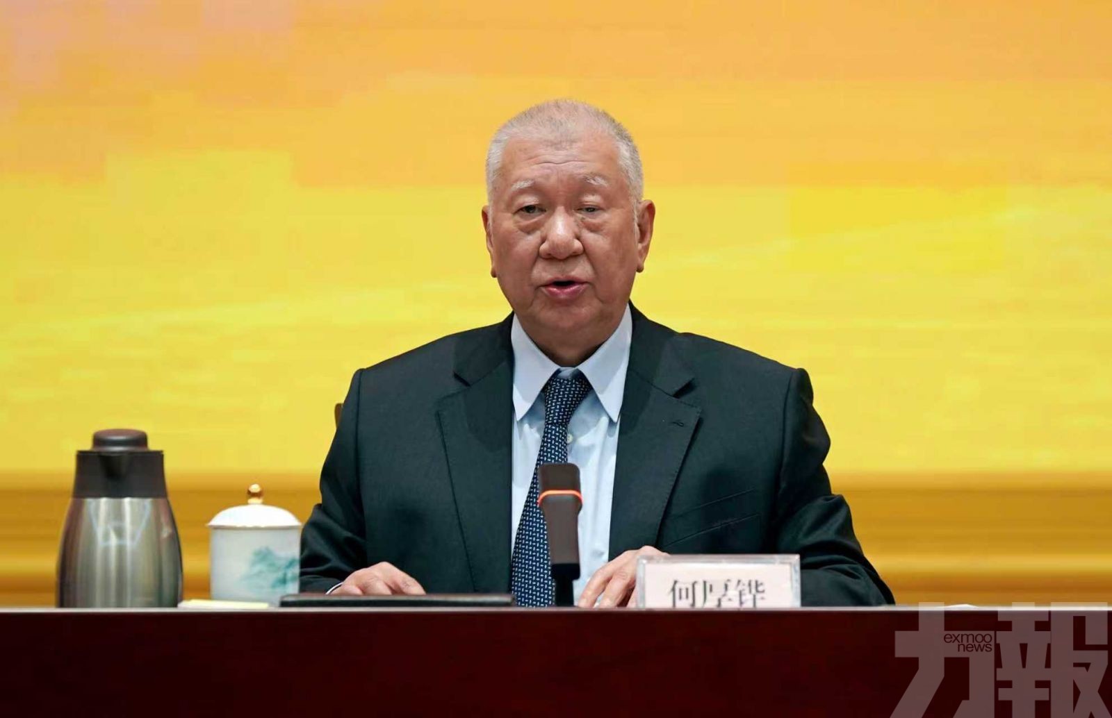 何厚鏵：全面準確落實行政主導