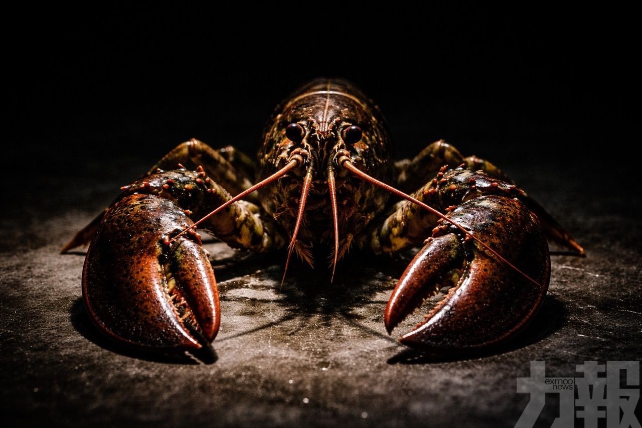 內地活躍節點逾2.3萬個