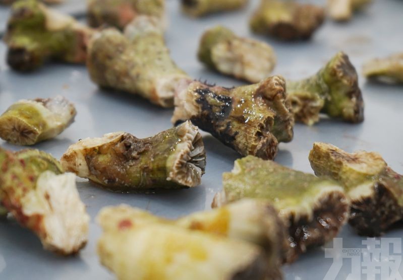 重623克列CITES附錄Ⅱ物種