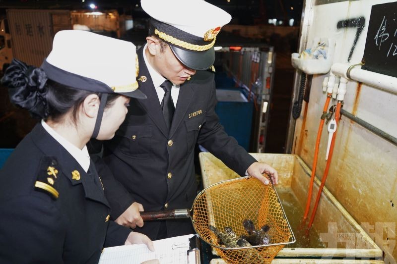 供港穩增並拓東盟市場