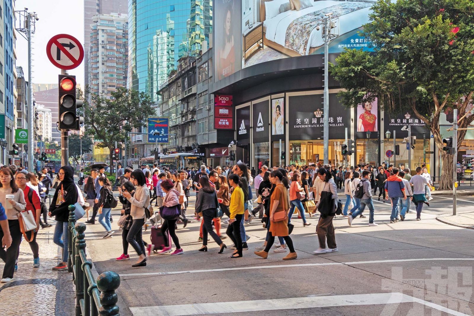 老年人口超十萬佔比達15.3%