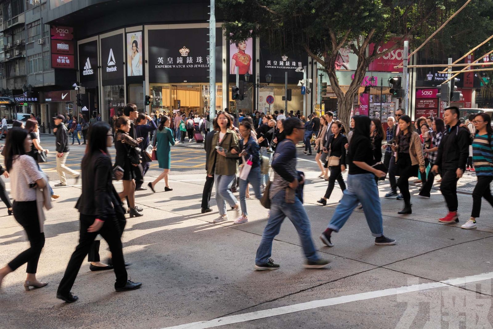 並推動青年和中高齡人士就業及發展