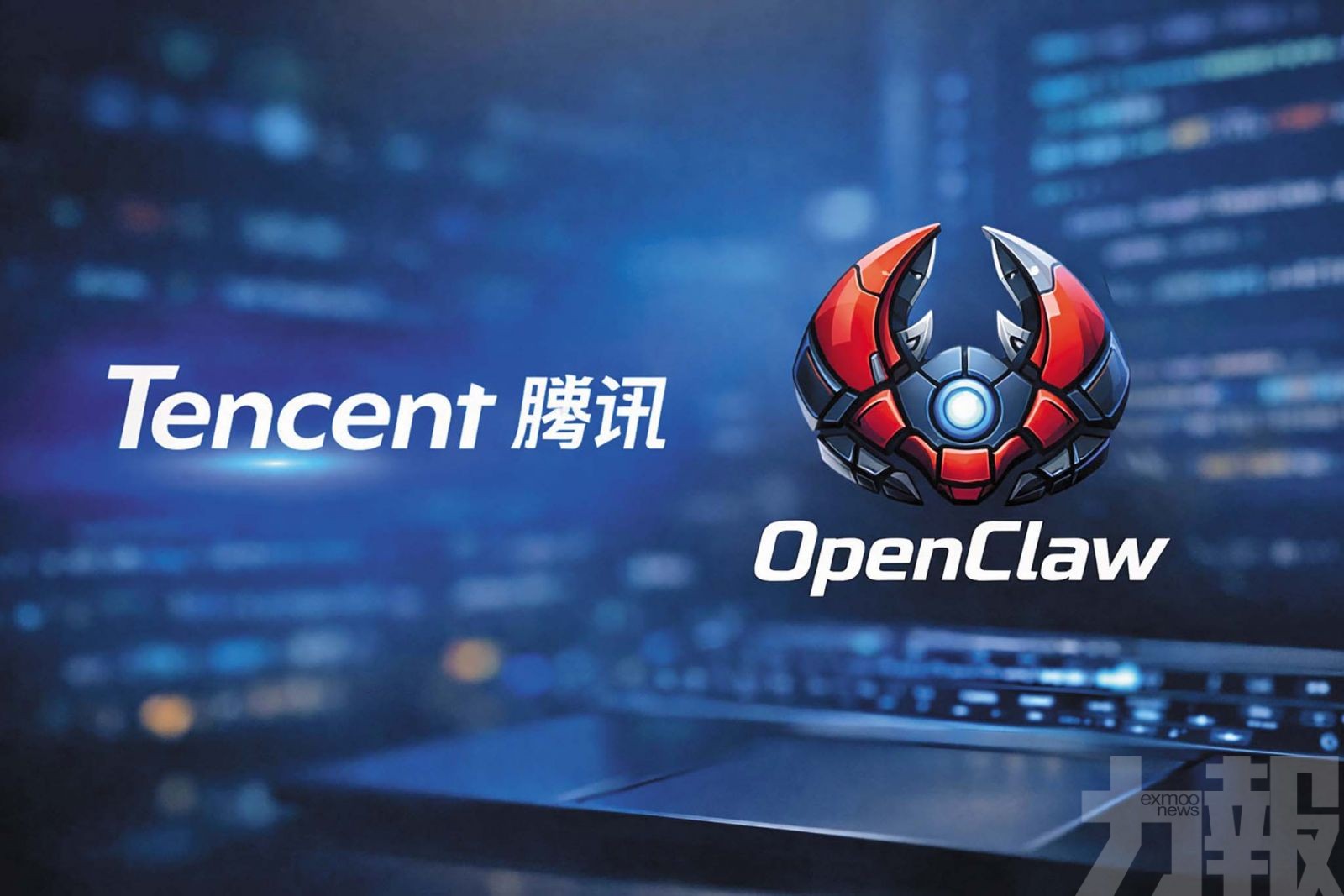 「養龍蝦」熱潮持續升溫