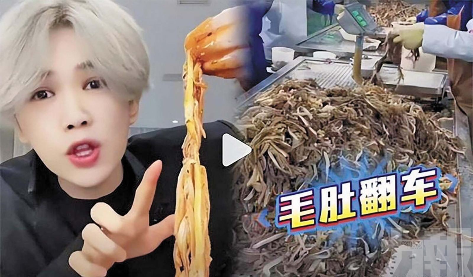 網紅「鹿哈」或賠數十億