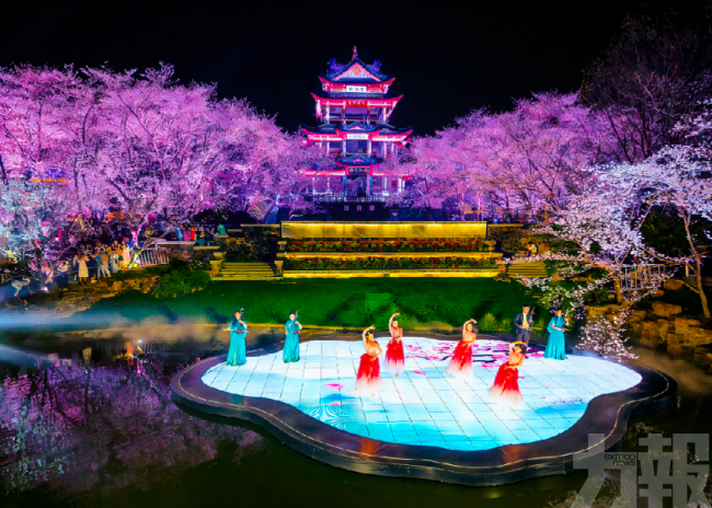 鼋頭渚國際櫻花節全球發布