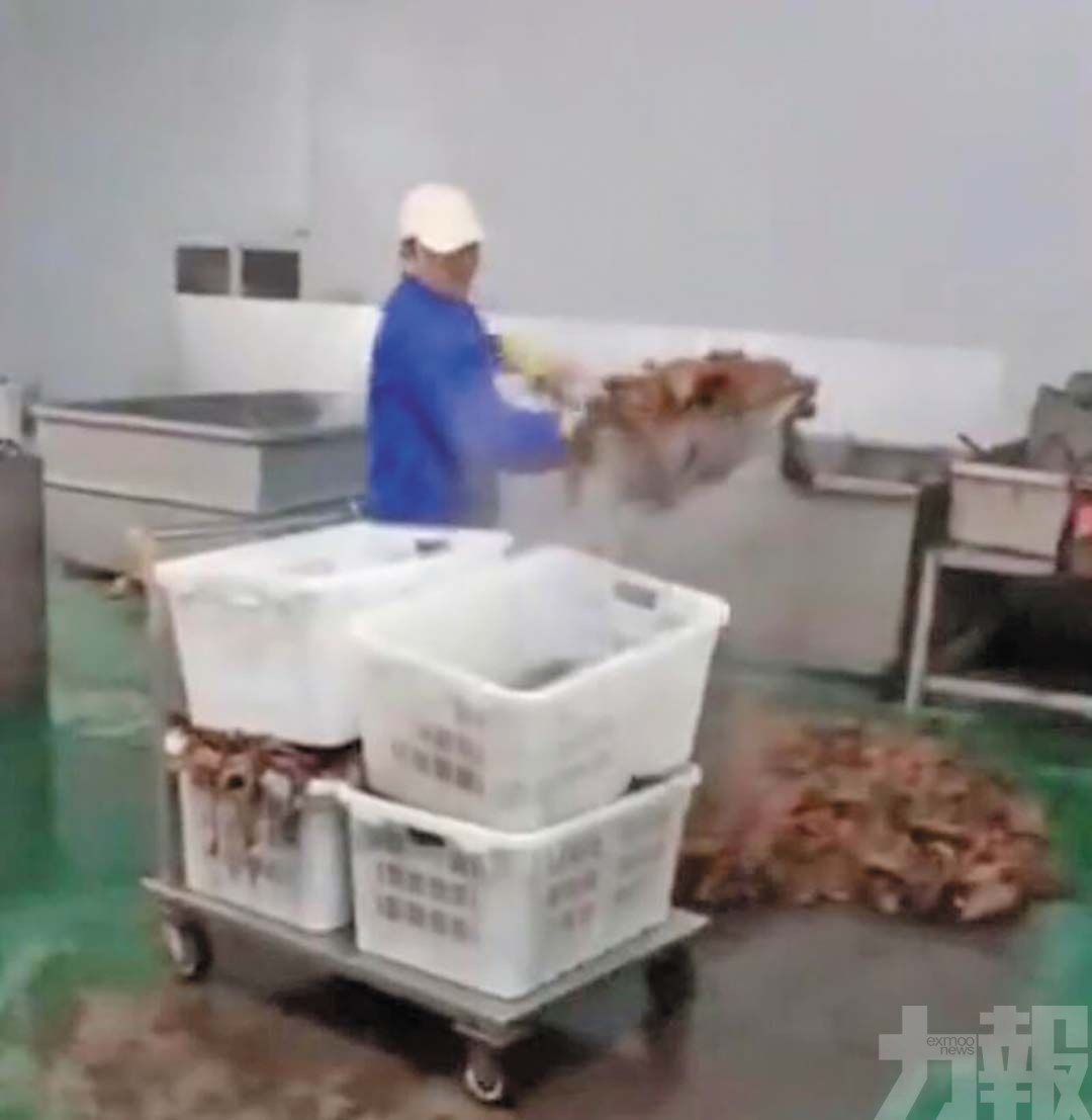 網紅「鹿哈」或賠數十億