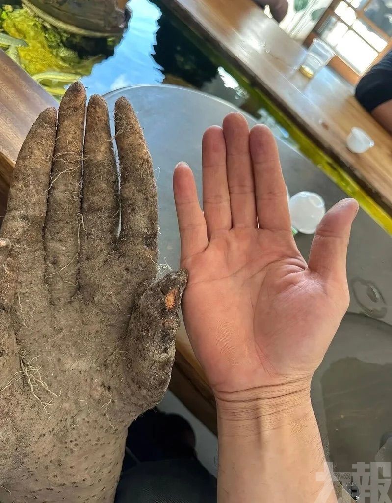 有人出價8,000元求購遭拒