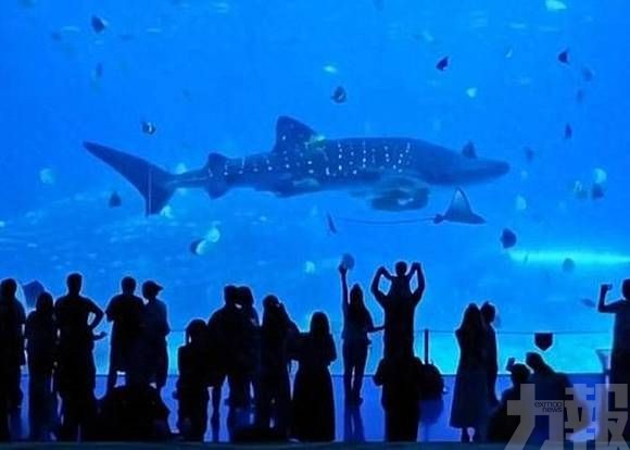 水質監測及餌料投餵等未見異常