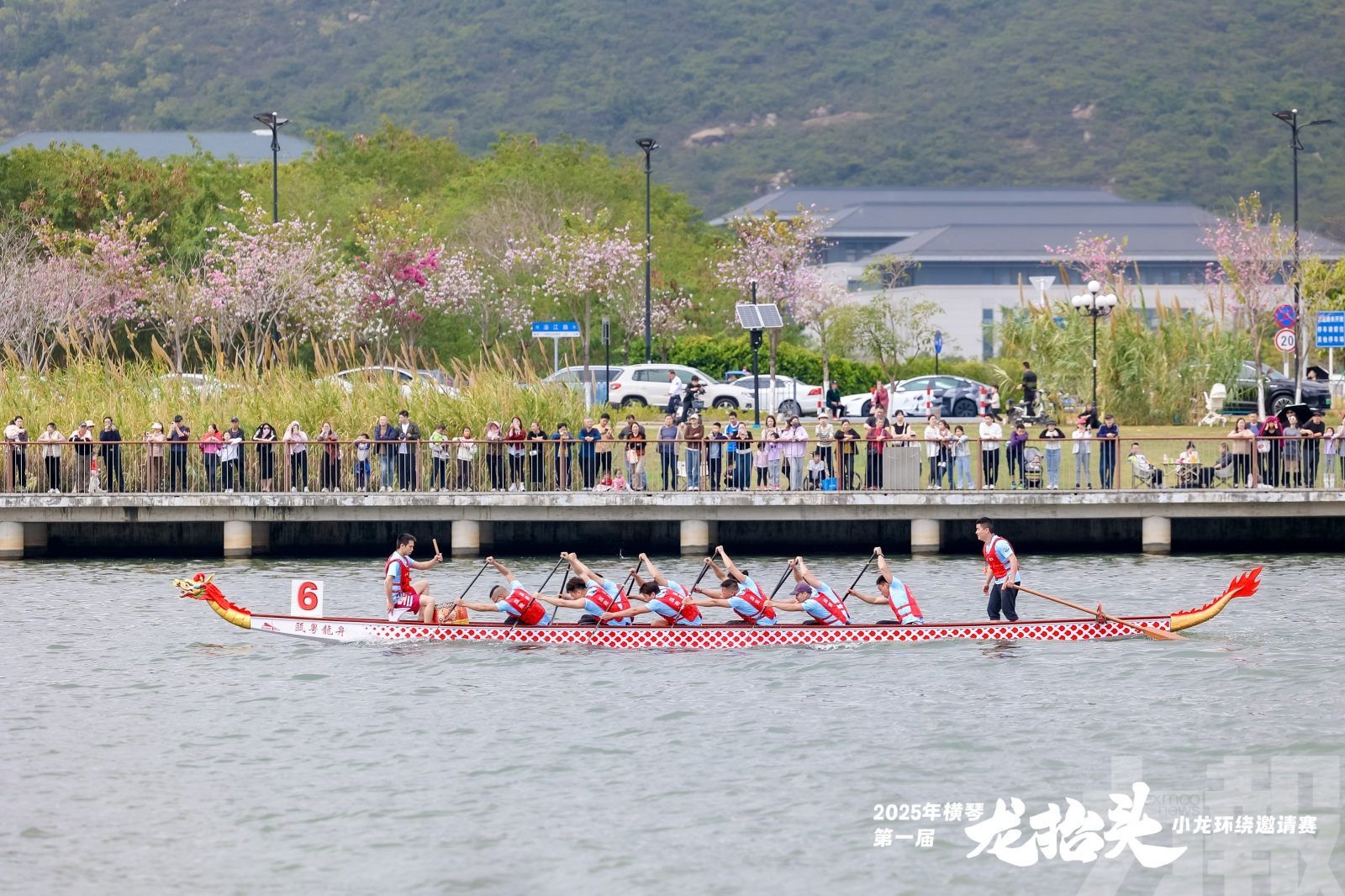 ​橫琴「龍抬頭」小龍賽今起揚槳開賽