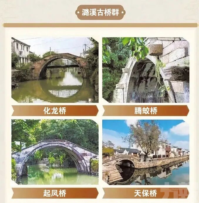 風骨忠直，家族綿延千載的傳奇