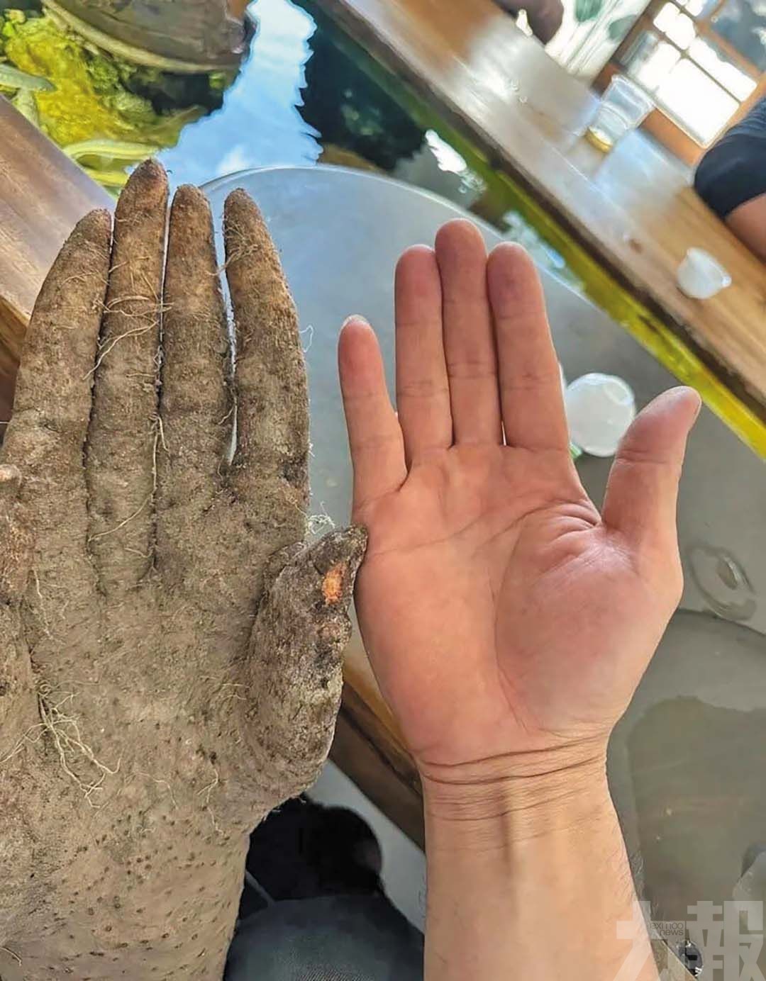 有人出價8,000元求購遭拒