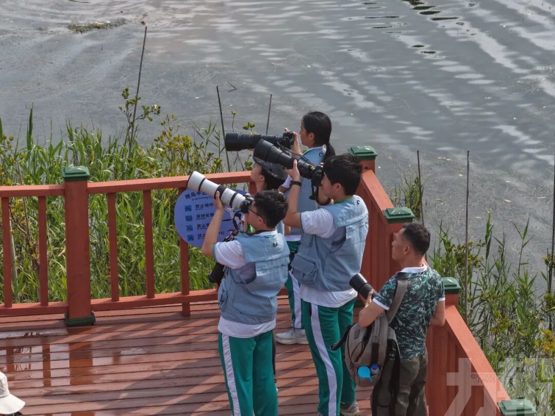 灣區青少年共倡生態保護