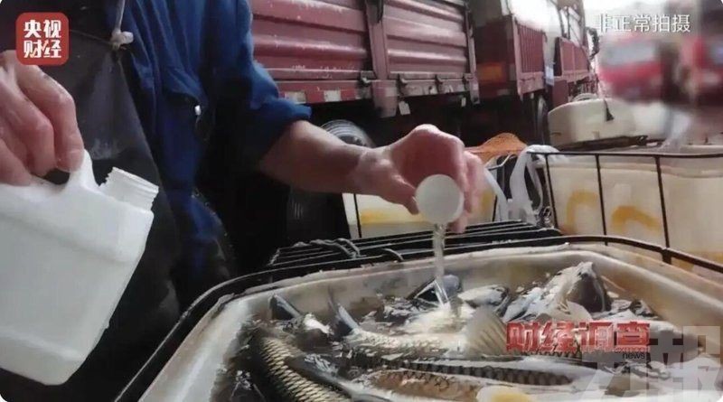 央視揭活魚「安眠藥」黑幕