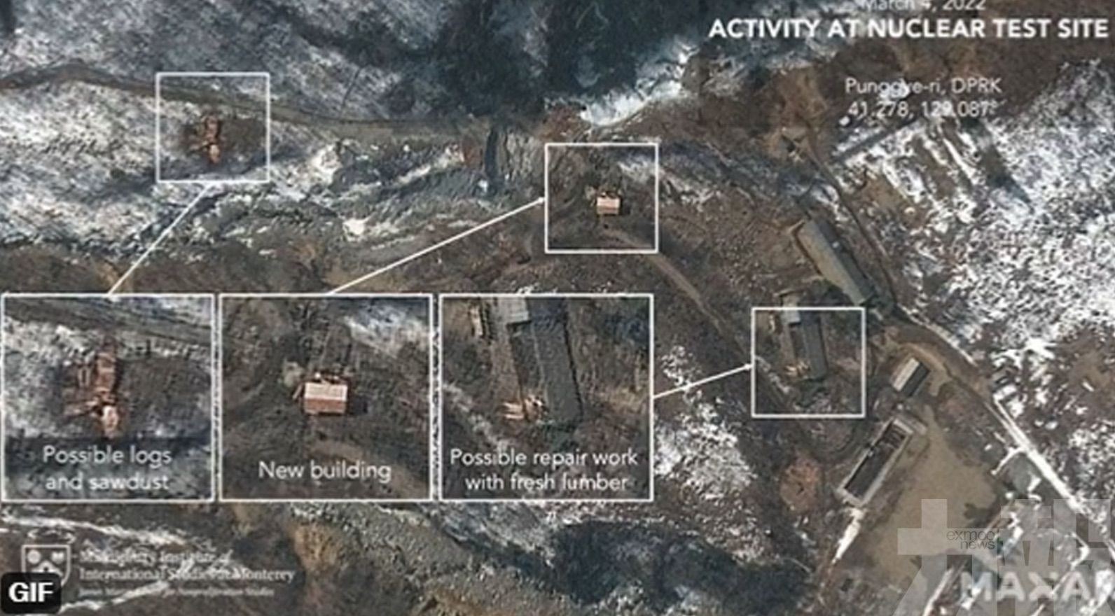 近四分之一現染色體異常