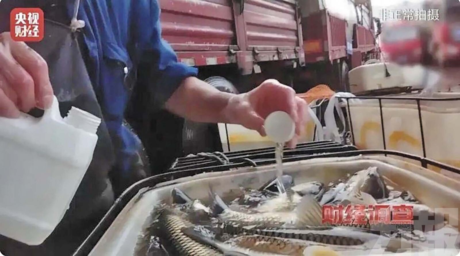 央視揭活魚「安眠藥」黑幕