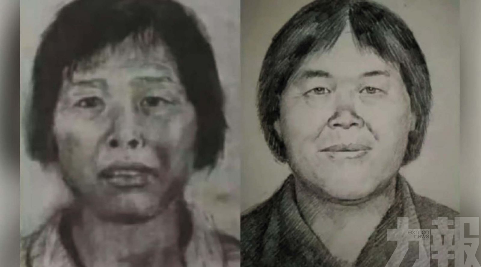 「梅姨」落網揭20年追查困局