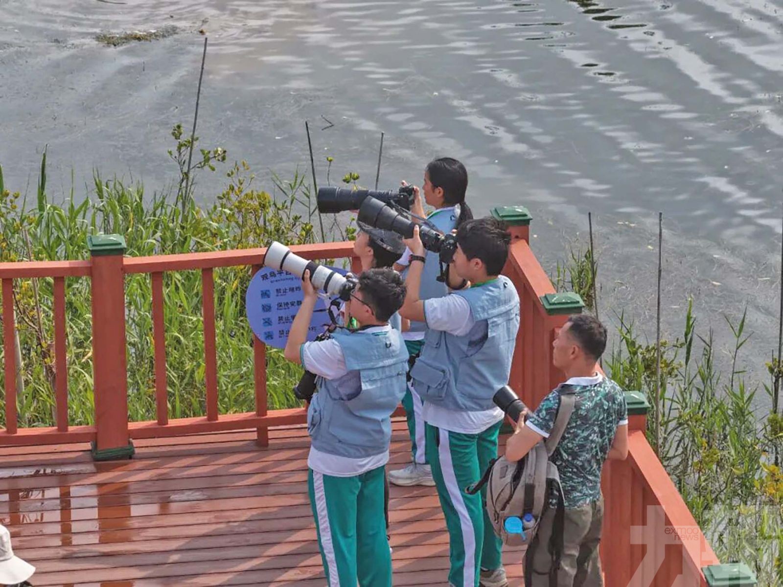 灣區青少年共倡生態保護