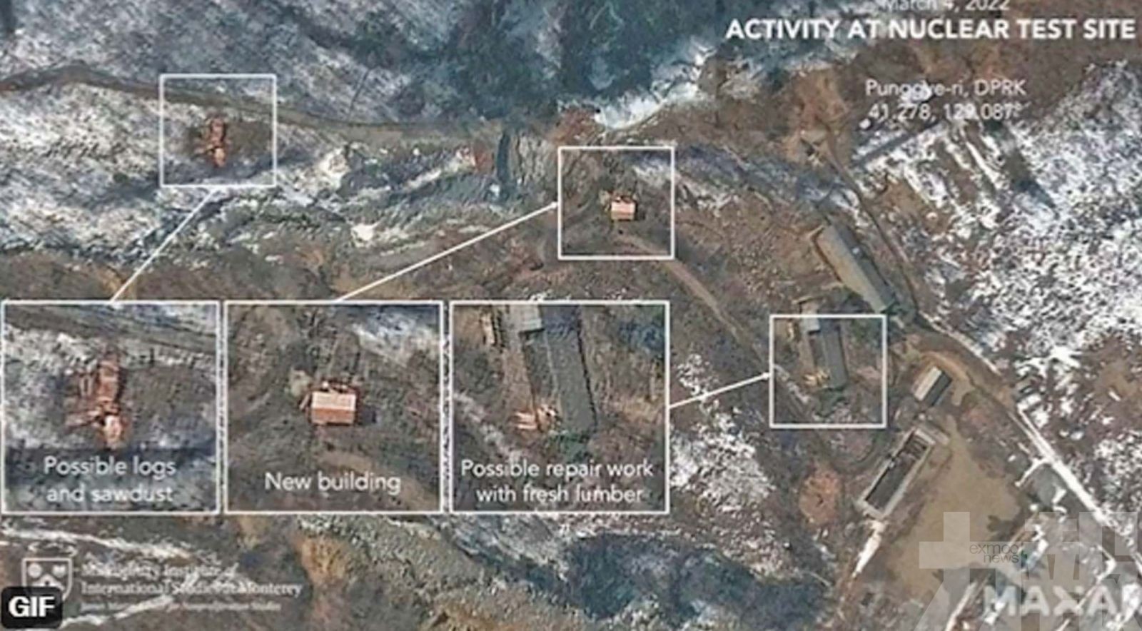 近四分之一現染色體異常