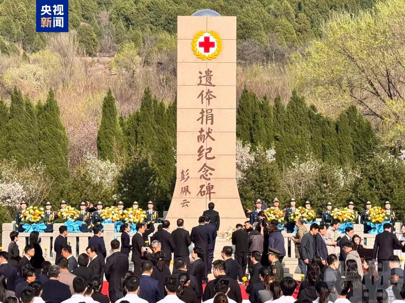 器捐志願登記人數逾733萬人