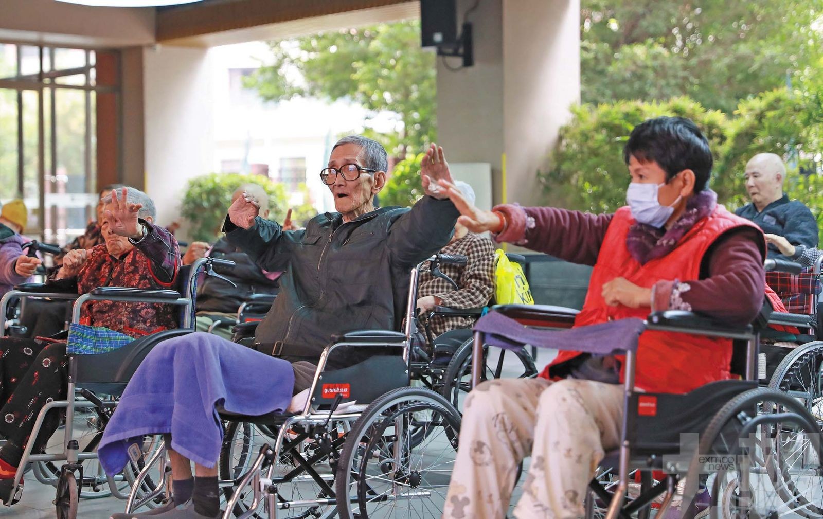 港澳長者可申領每月最高800元