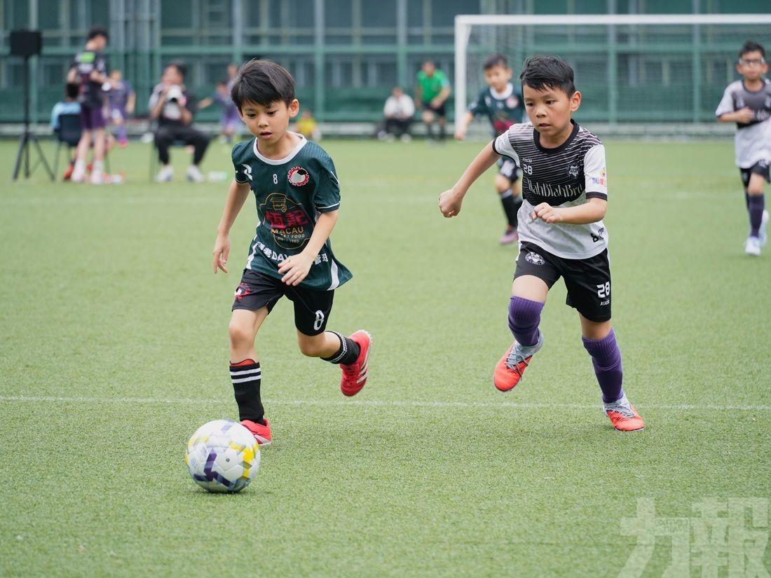 羅諾恆：為澳琴打造多元發展舞台