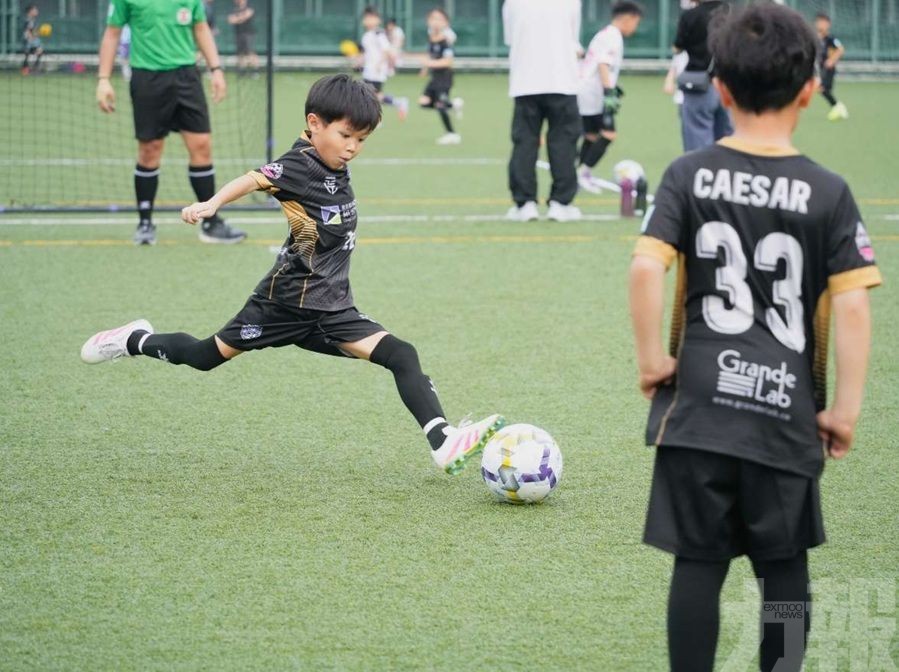 羅諾恆：為澳琴打造多元發展舞台