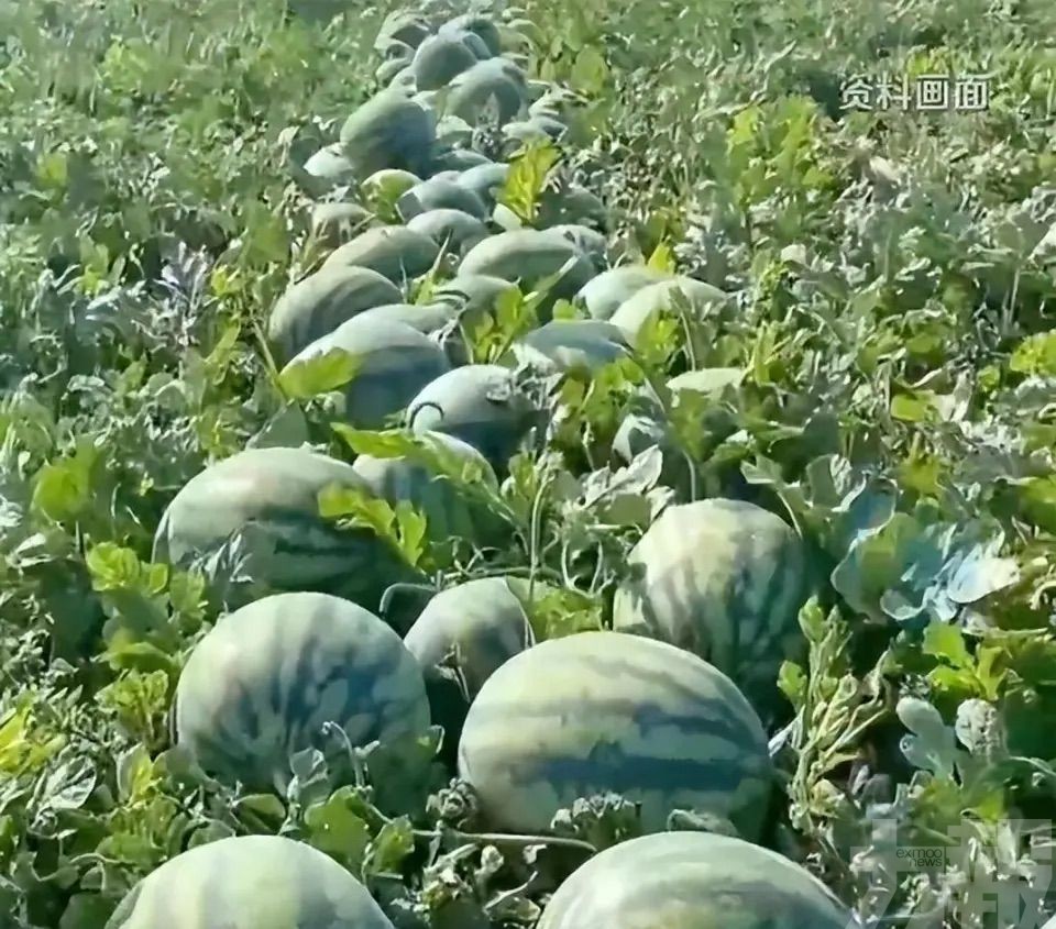 年薪20萬引熱議