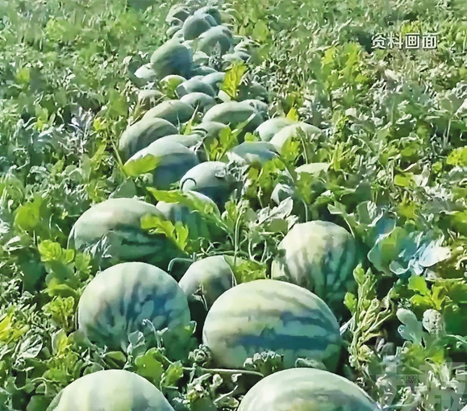 年薪20萬引熱議