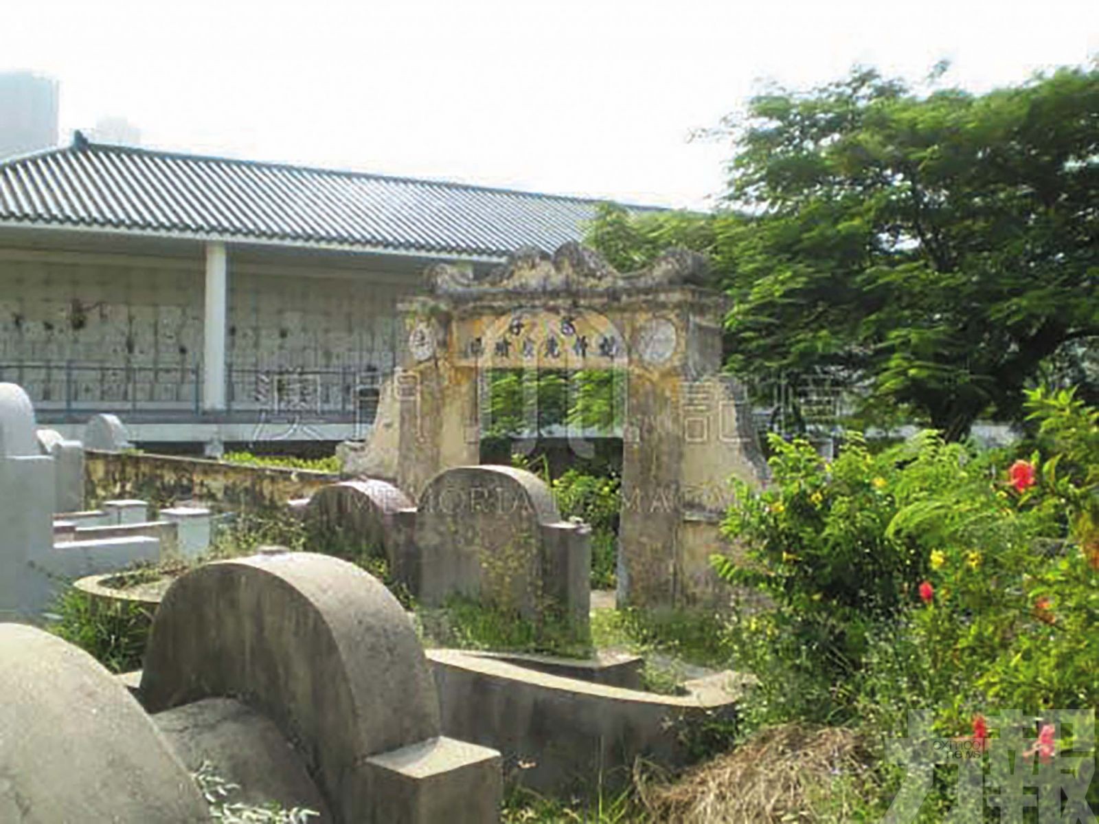 炮竹先友墳場的沉默見證