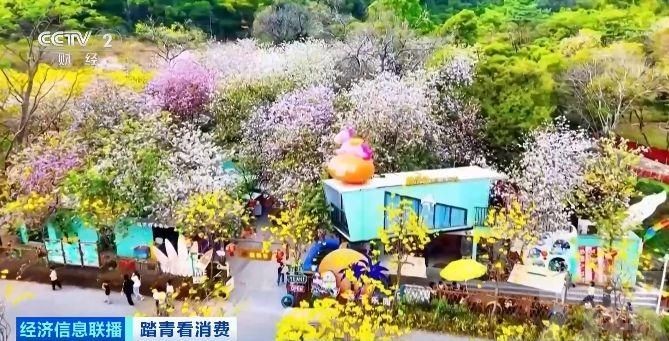 清明跨境人流爆發