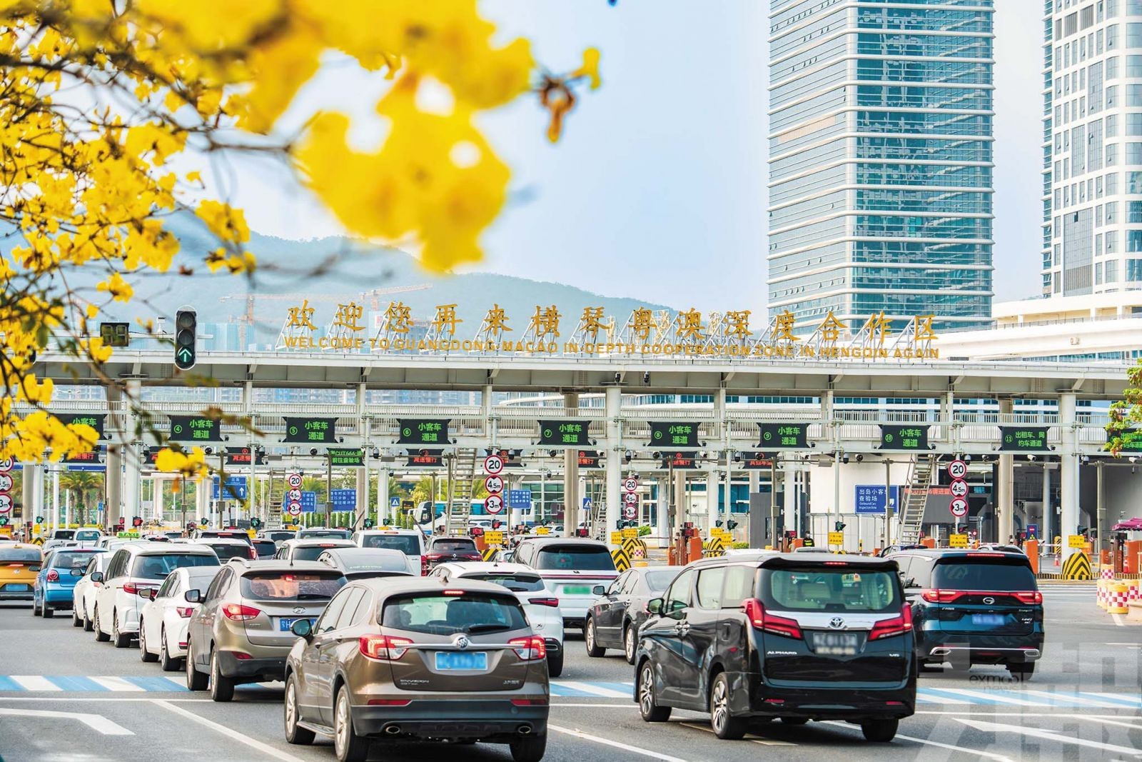 議員倡優化通關配套